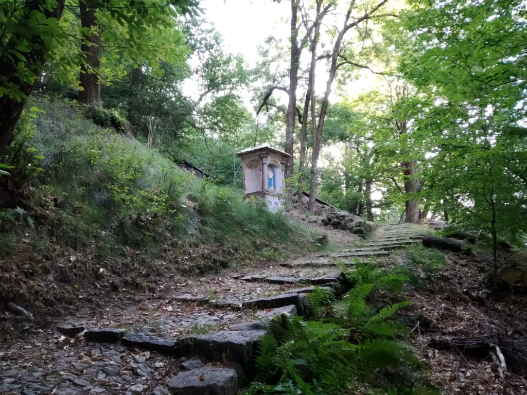 Passeggiata da Campiglia