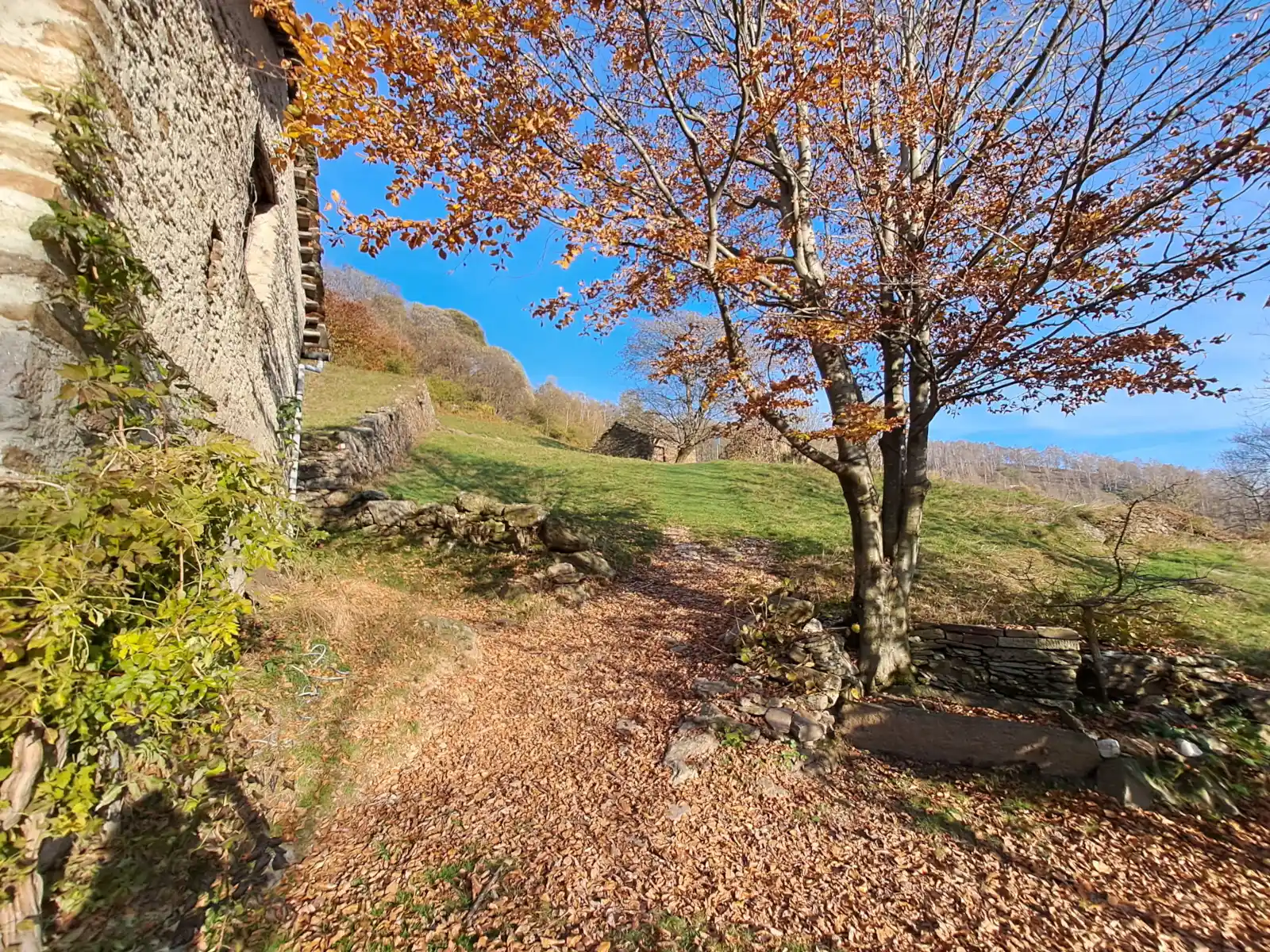 Passeggiata alla Trappa
