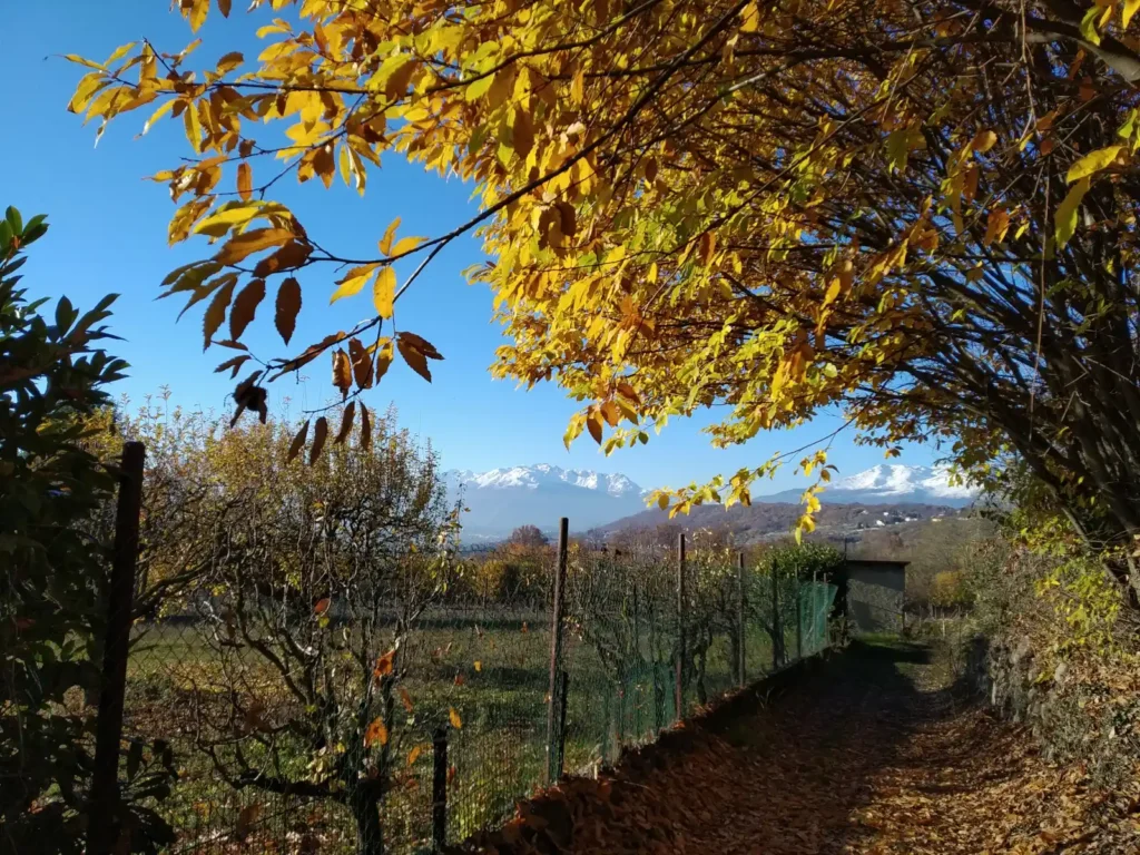 Sentiero panoramico